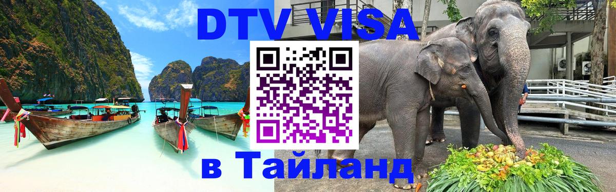 Оформление DTV визы под ключ: стоимость и тарифы, только загранпаспорт - 21.11.2025 